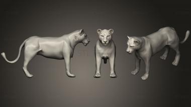 3D model Lioness (STL)